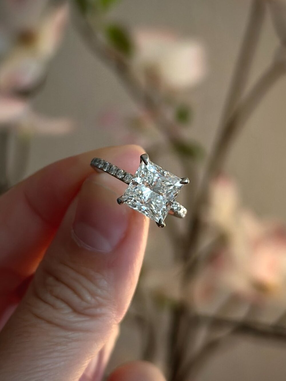 Princess Cut 3.33 Carat Diamond Ring with Pave Setting on Platinum - Picture 8 of 14